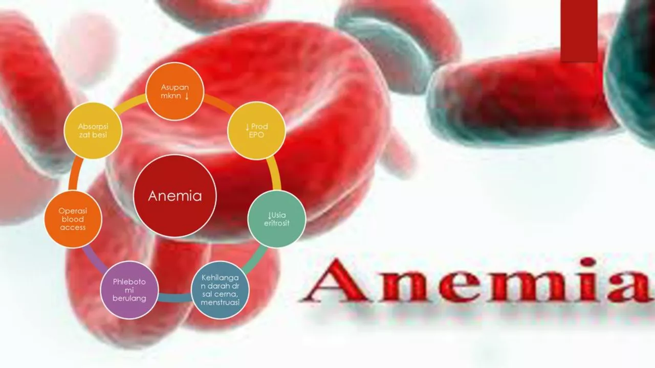Anemia and Inflammation: Exploring the Connection